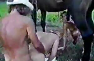 ngựa đã gặp may mắn